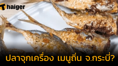 คนพื้นที่งง "ปลาจุกเครื่อง" หากินได้ที่ไหน หลังประกาศว่าเป็นเมนูประจำถิ่นกระบี่