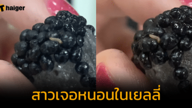 สุดผวา 'สาวเจอหนอนในเยลลี่' ยี่ห้อดัง เผยเพิ่งซื้อมา แถมกินไปแล้วหนึ่งชิ้น