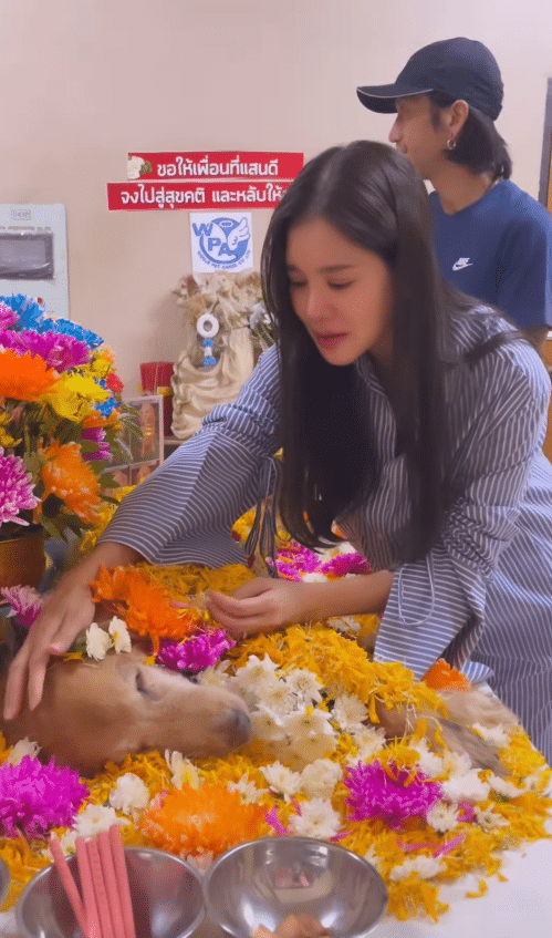 "ก้อย รัชวิน" แจ้งข่าวเศร้า หลังสูญเสีย "ป้าเรนโบว์" สมาชิกคนสำคัญกลับดาวหมา