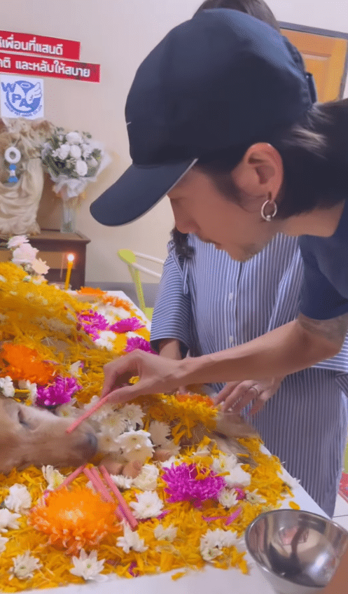 "ก้อย รัชวิน" แจ้งข่าวเศร้า หลังสูญเสีย "ป้าเรนโบว์" สมาชิกคนสำคัญกลับดาวหมา