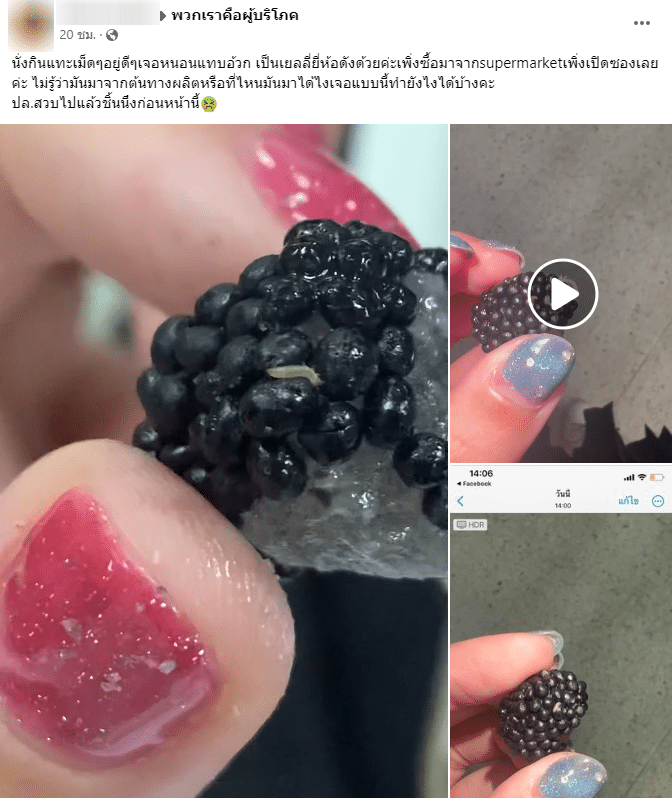 สุดผวา 'สาวเจอหนอนในเยลลี่' ยี่ห้อดัง เผยเพิ่งซื้อมา แถมกินไปแล้วหนึ่งชิ้น