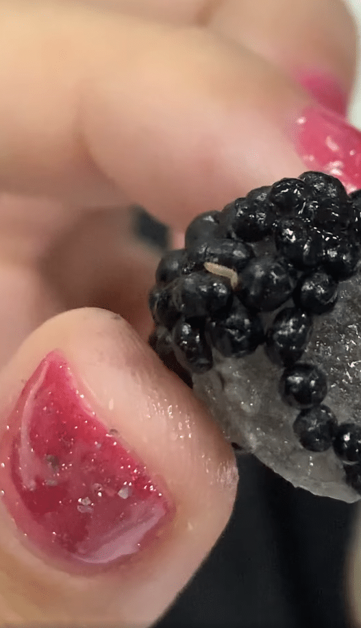 สุดผวา 'สาวเจอหนอนในเยลลี่' ยี่ห้อดัง เผยเพิ่งซื้อมา แถมกินไปแล้วหนึ่งชิ้น