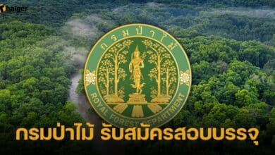 กรมป่าไม้ รับสมัครสอบบรรจุ