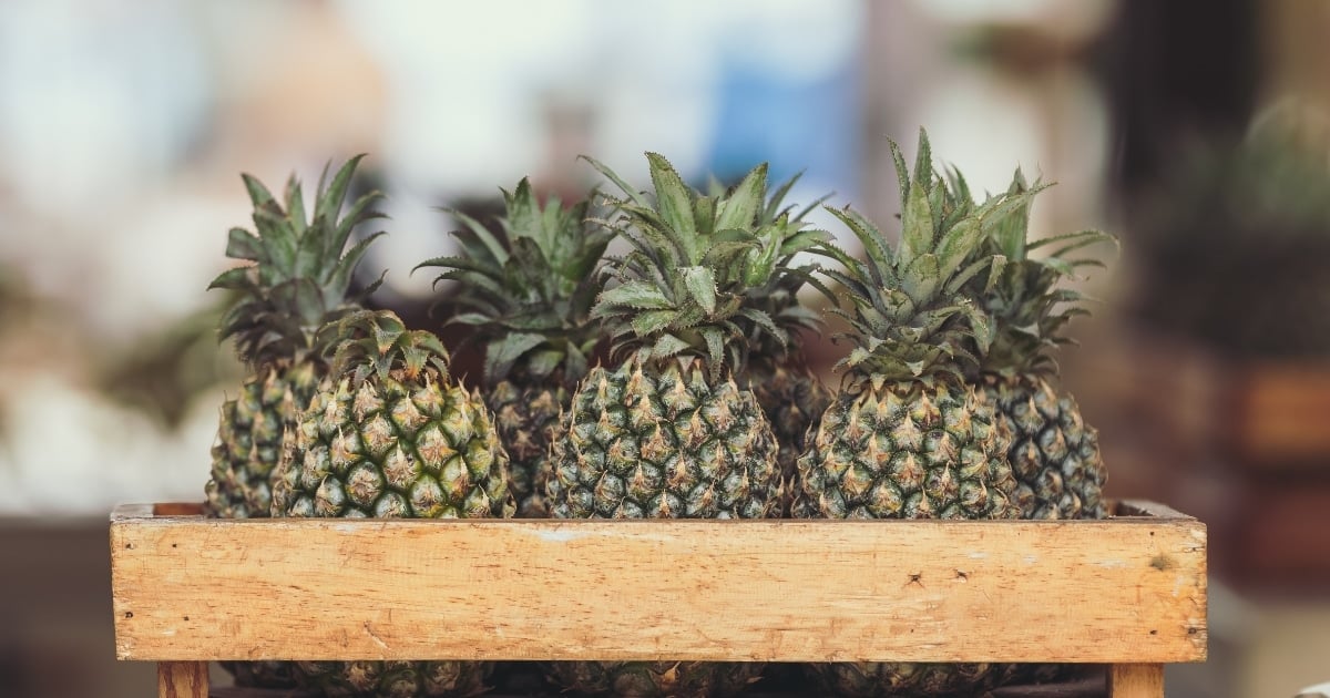 กินสับปะรด