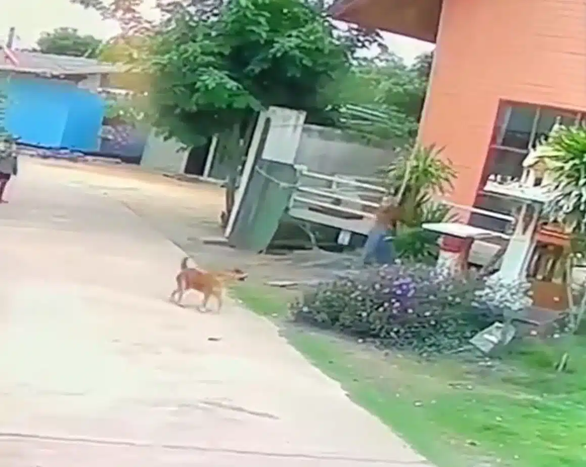 ข่าวสังคมวันนี้ 13 กันยายน