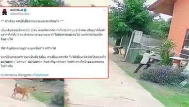 ทําร้ายสุนัข โทษ