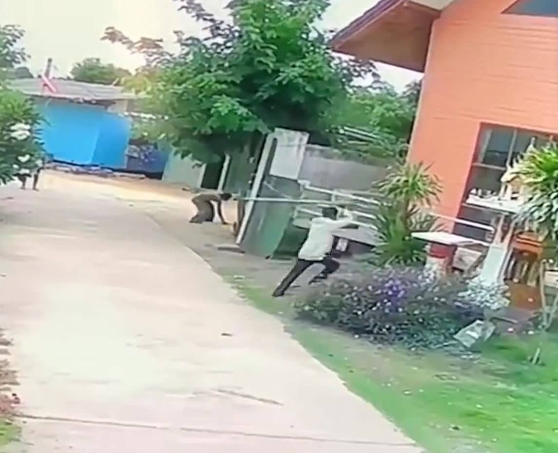 คลิปรุมตีสุนัข