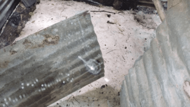 พ่อฆ่าโบกปูนลูก