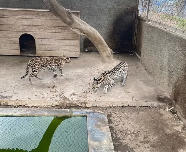 ทหารเวเนซุเอลา ยึดเรือนจำ