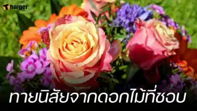 ทายนิสัยจากดอกไม้ที่ชอบ