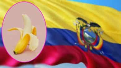 เอกวาดอร์ มาตรฐานชายไทย 52