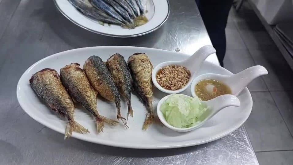 ปลาจุกเครื่อง