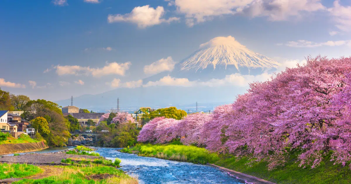 ฟรีวีซ่าเจแปน เปิด 69 รายชื่อประเทศเข้าญี่ปุ่นแบบไม่ต้องขอวีซ่า มีประเทศไทย