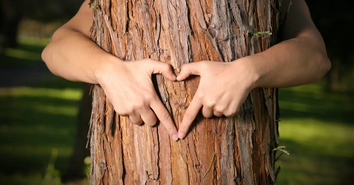 ฝันว่าได้คบคนที่แอบชอบ บอกความหมาย ทำนายฝัน ตีเลขเด็ด