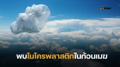 พบไมโครพลาสติกในก้อนเมฆ