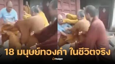 พระต่อยกัน