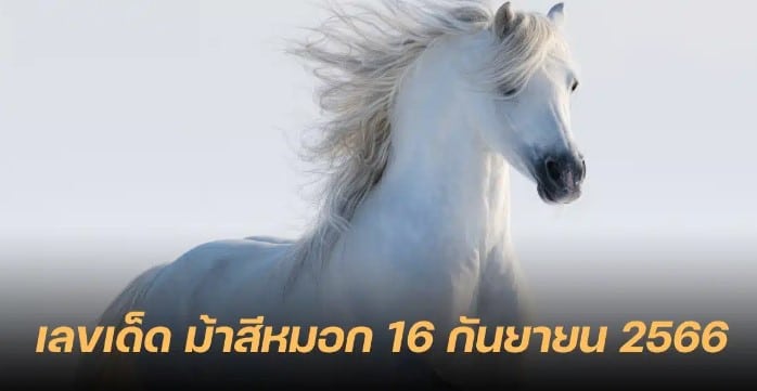 ม.ม้าสีหมอก 16 9 66