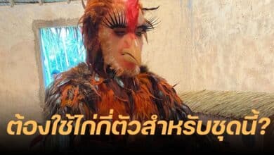 มาดามมด คอสเพลย์เป็นไก่