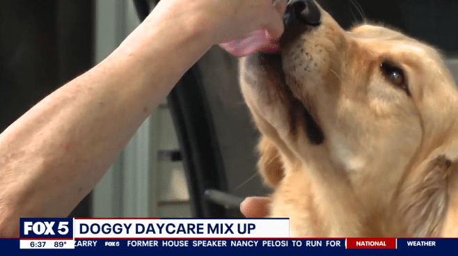 รับหมาผิดตัว