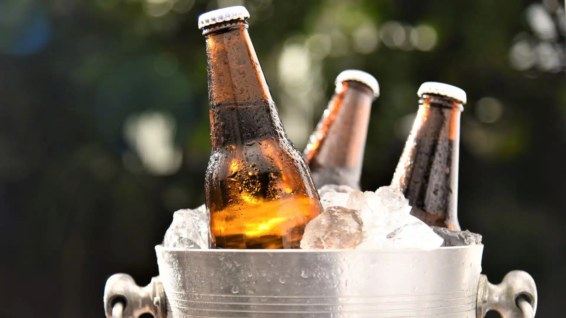 รายได้ เด็กเชียร์เบียร์