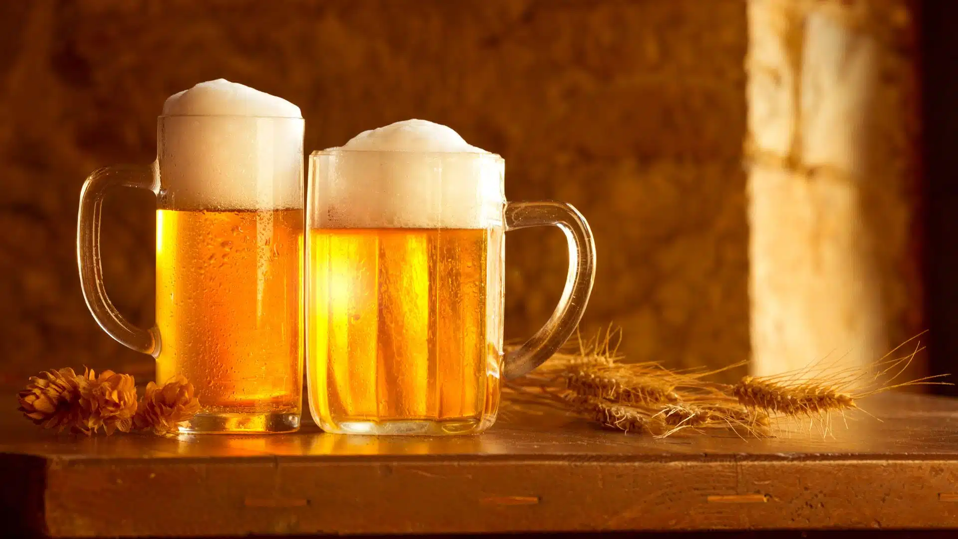 รายได้ เด็กเชียร์เบียร์