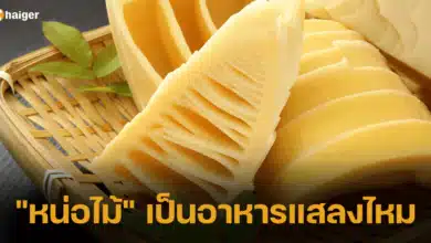 ตอบแล้ว หน่อไม้ เป็นอาหารแสลงไหม