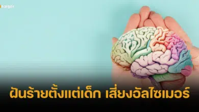 หมอธีระวัฒน์ เผย ฝันร้ายตั้งแต่เด็ก โอกาสสมองเสื่อมเพิ่มขึ้น 76%