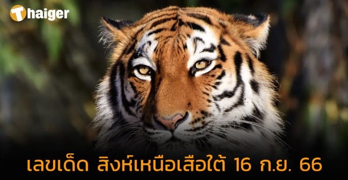 หวยสิงห์เหนือเสือใต้ 16 9 66