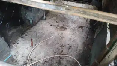 เจษฎา เมีย เอ็ม