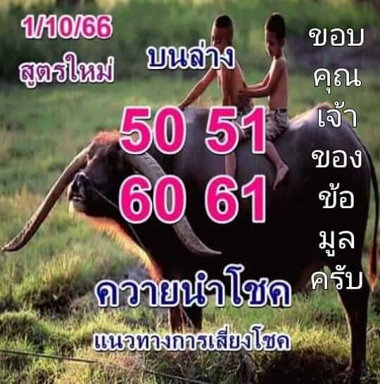 เลขเด็ด ควายนำโชค 1 10 66