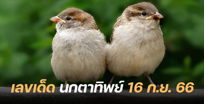 เลขเด็ด นกตาทิพย์ 16 9 66