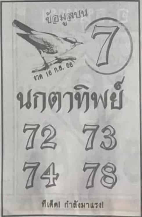 นกตาทิพย์ เลขเด็ด 16 9 66