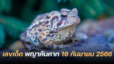 เลขเด็ด พญาคันคาก 16 9 66