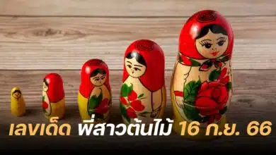 เลขเด็ด พี่สาวต้นไม้ 16 9 66