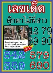 เลขเด็ด พี่สาวต้นไม้ 16 9 66