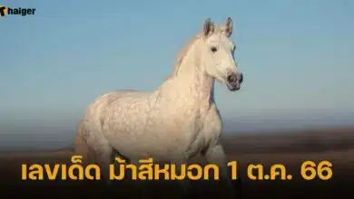 เลขเด็ด ม้าสีหมอก 1 ต.ค. 66