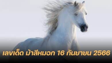 เลขเด็ด ม้าสีหมอก 16 9 66