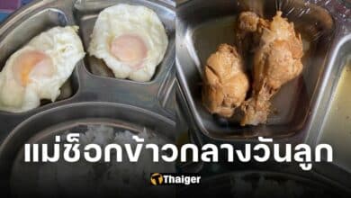 ปกดราม่าข้าวกลางวันลูก