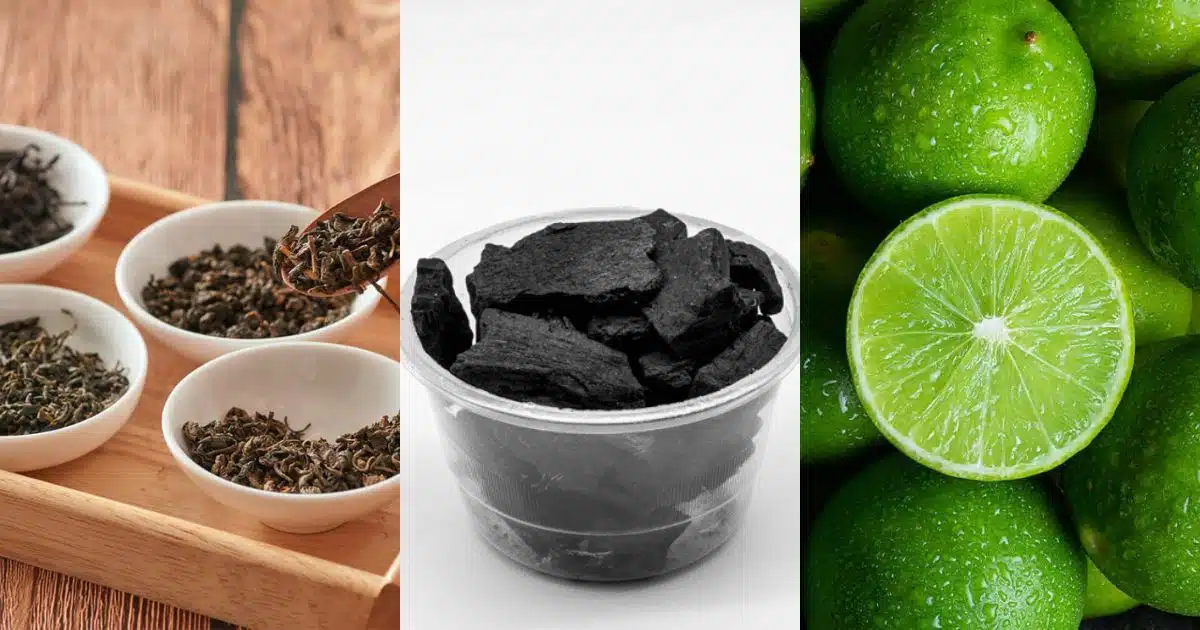 ของในบ้านดับกลิ่นตู้เย็น