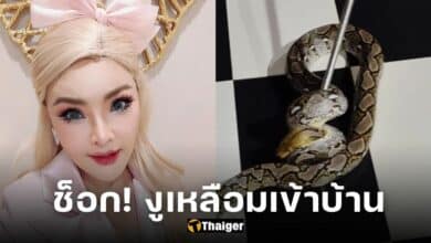 ปก ดาวมยุรีย์ งูเหลือมเข้าบ้าน