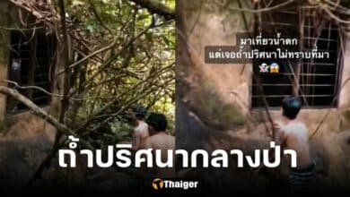 ปกถ้ำปริศนากลางป่า