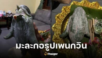 ปกมะละกอรูปเพนกวิน