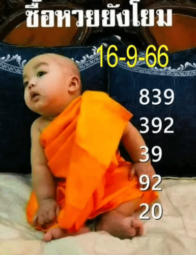 เลขเด็ด มือใหม่ 16 9 66