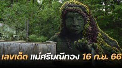 เลขเด็ด แม่ศรีมณีทอง 16 9 66