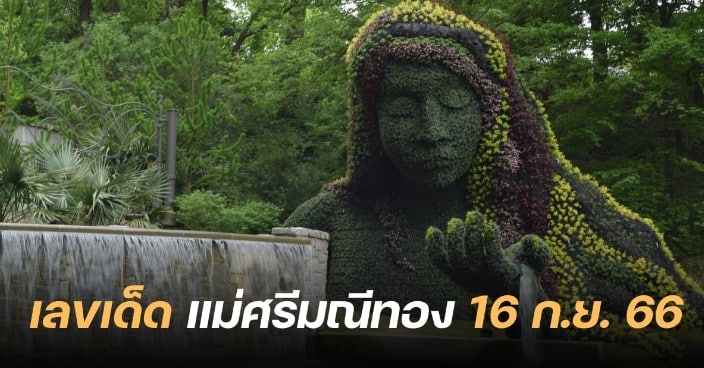 เลขเด็ด ‘แม่ศรีมณีทอง’ 16 9 66
