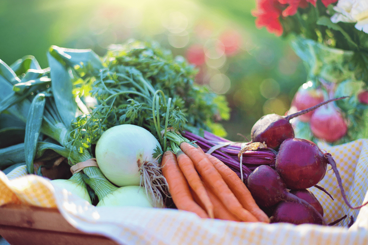 ผัก 12 ชนิด ห้ามกินดิบ ปนเปื้อนสารพิษ ให้โทษมากกว่าประโยชน์