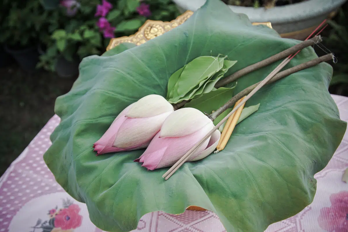 ฝันว่าไปงานบวช เปิดคำทำนายฝันมงคล พร้อมตีเลขเด็ด