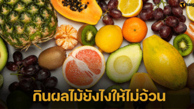 เผยวิธีกินผลไม้ยังไงให้ไม่อ้วน สายรักสุขภาพห้ามพลาดวิธีกินผลไม้ที่ถูกต้อง