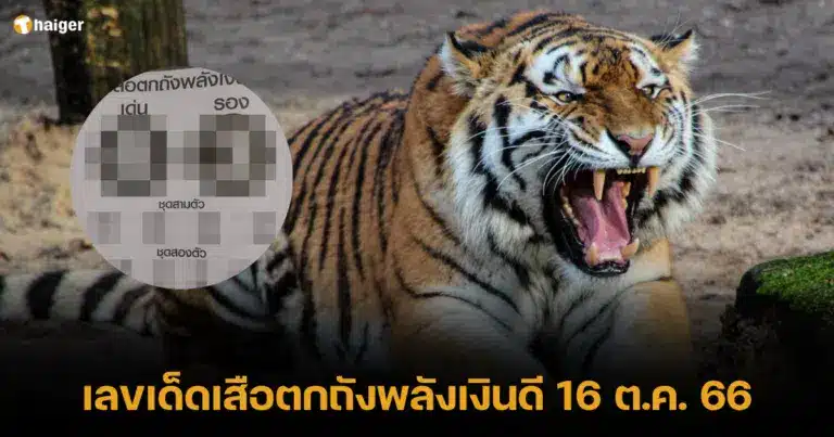 รวมเลขเด็ด งวดนี้ 16 ตุลาคม 2566