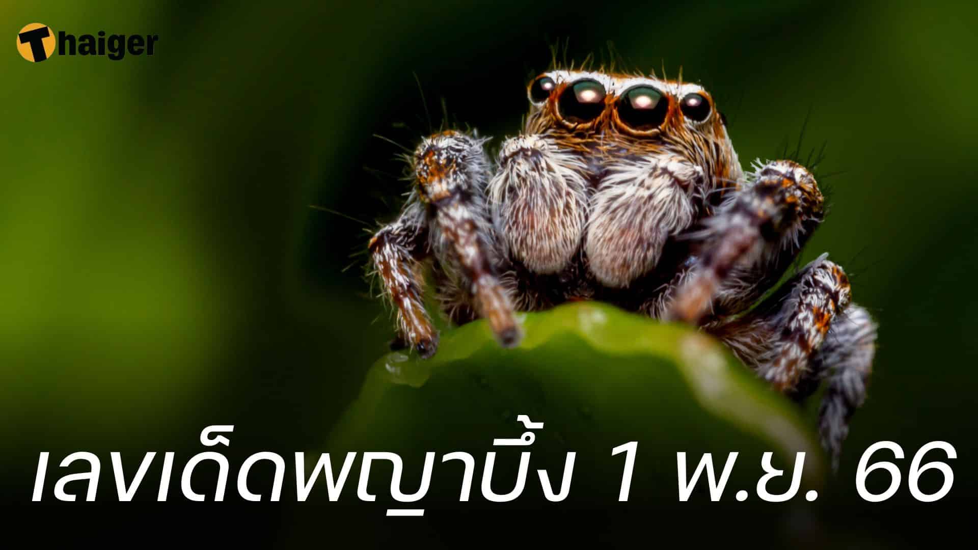 พญาบึง เลขเด็ด 11/1/23